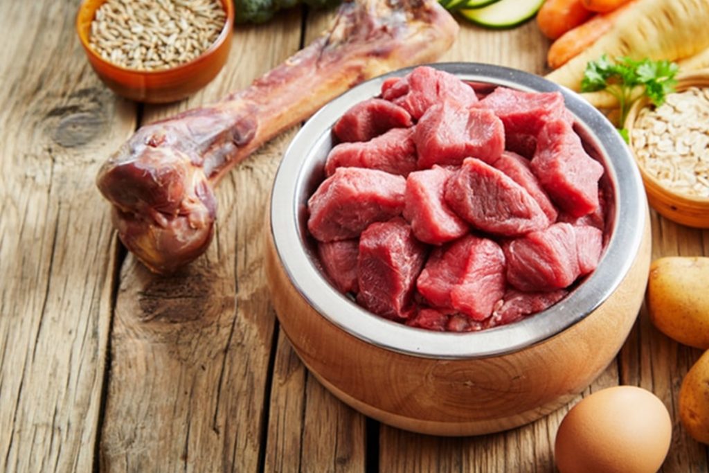 The Best Dog Food, Raw Or Cooked