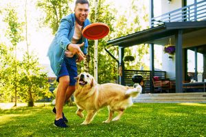 Dog Training Tips For Frisbee Fun And Activities