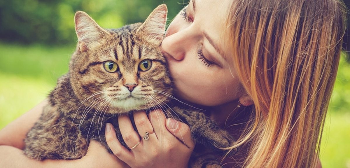 5 Steps To Reduce Anxiety And Stress In Cats