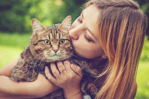 5 Steps To Reduce Anxiety And Stress In Cats