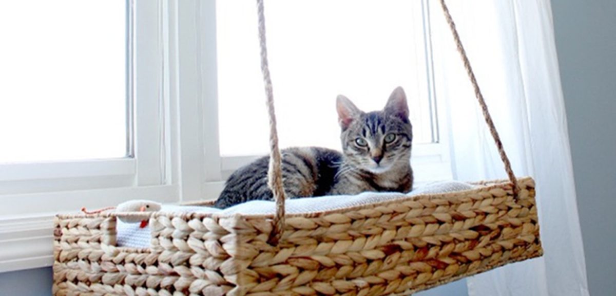 Diy Cat Bed Creates a Comfortable Sleep Space For Your Feline Friend