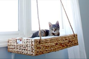 Diy Cat Bed Creates a Comfortable Sleep Space For Your Feline Friend
