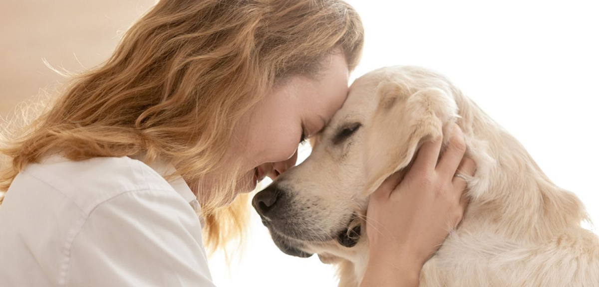 What Pet Companionship Can Bring to Your Life